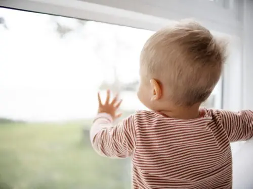 An infant looks out the window.