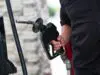 A driver fills their gas tank with fuel at a gas station, Sunday, May 10, 2026, in Houston.