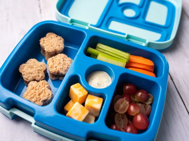 Kid school lunch bento box set, healthy food options for toddler and young kids.